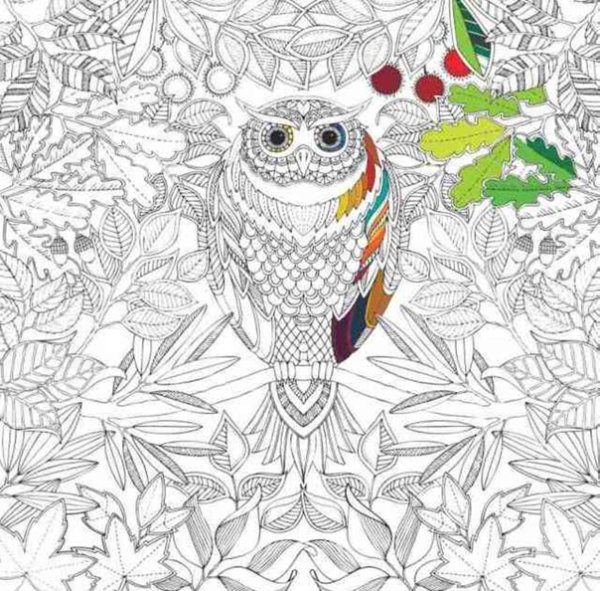 Лучшие раскраски антистресс