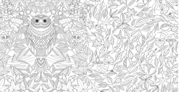 Чарівний сад Джоанна Басфорд,