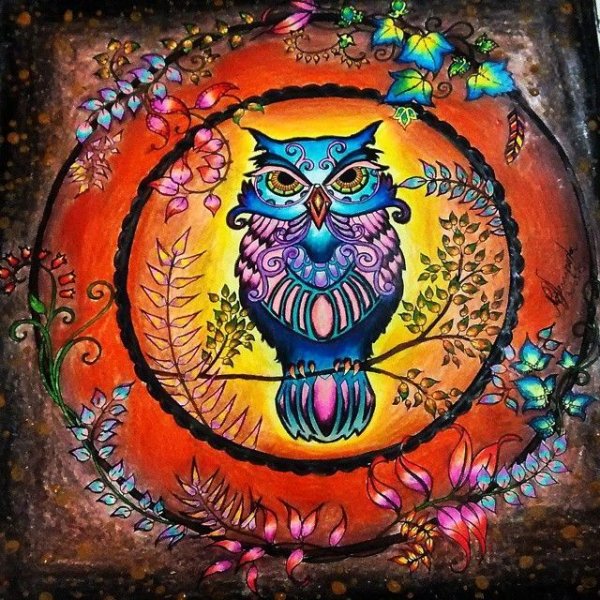 Джоанна Бэсфорд Сова с луной