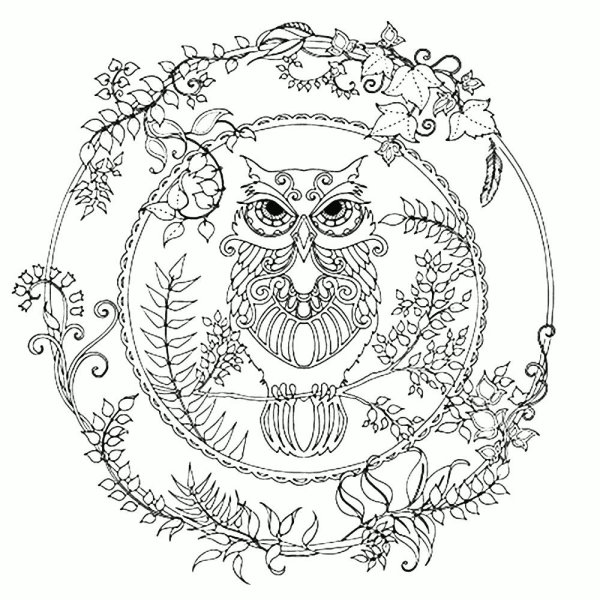 Джоанна Бэсфорд Сова