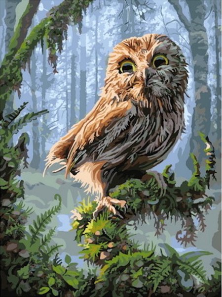 Алмазная мозаика Сова