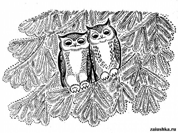 Сова зимой раскраска