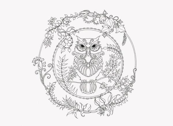 Бэсфорд Джоанна Зачарованный лес