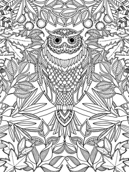 Джоанна Бэсфорд Сова