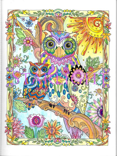 Sarnat Marjorie "Совушки"