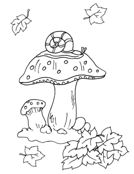 Осень раскраска для детей