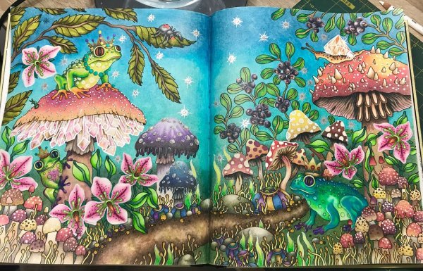 Ханна Карлсон - заколдованный лес - раскраски