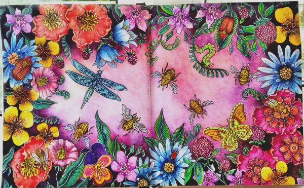 Раскраски Ханны Карлсон сон в летнюю ночь