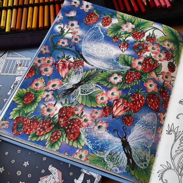 Ханна Карлсон заколдованный лес