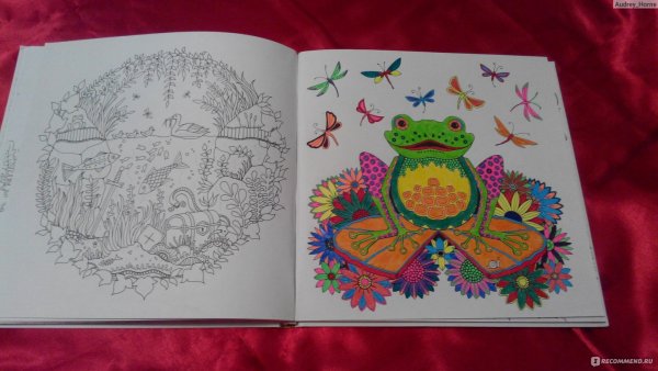 Джоанна Басфорд Зачарованный лес Раскрашенные