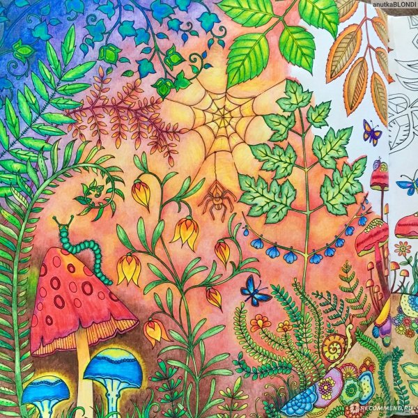 Заколдованный лес Джоанна Басфорд