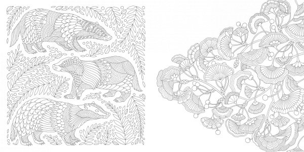 Милли Маротта в волшебном лесу