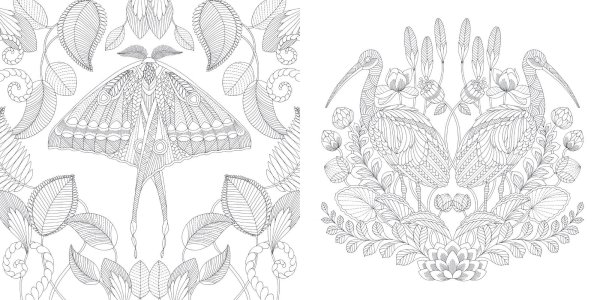 Милли Маротта в стране чудес Раскрашенные рисунки