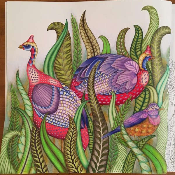 Милли Маротта в волшебном лесу