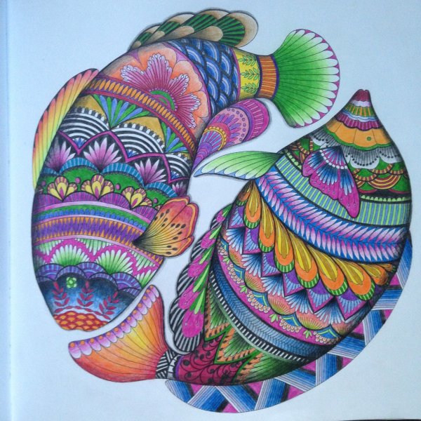 Милли Маротта в стране чудес