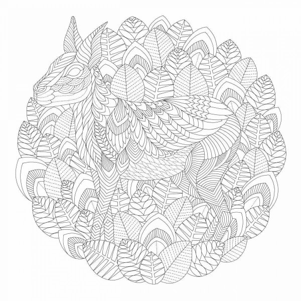 Раскраски антистресс Милли Маротта