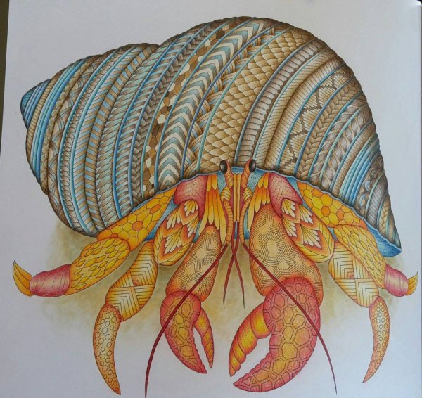 Милли Маротта Раскрашенные