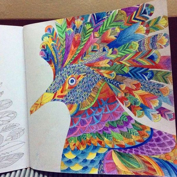 Милли Маротта в волшебном лесу