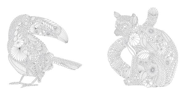 Раскраски для взрослых Маротта