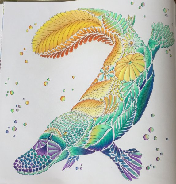 Милли Маротта