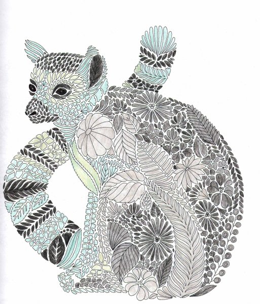 Милли Маротта раскраски