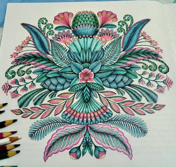 Милли Маротта в стране чудес