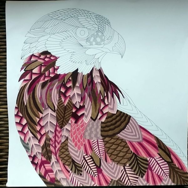 Милли Маротта "дивные птицы"