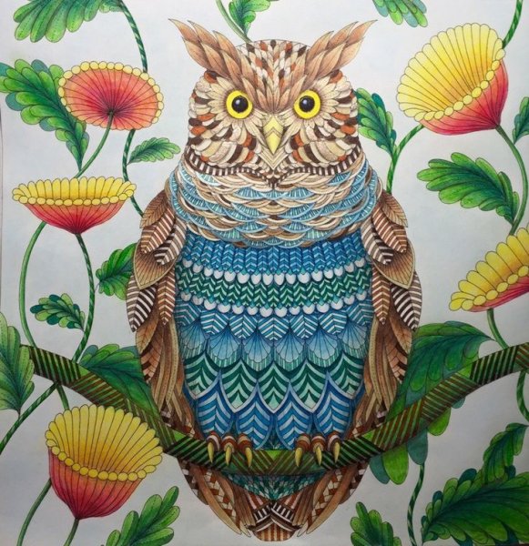 Милли Маротта в стране чудес