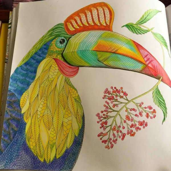 Маротта Милли "чудеса природы"