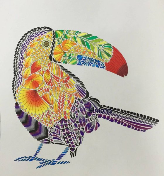 Тукан Милли Маротта