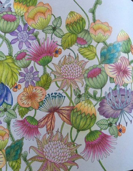 Милли Маротта в волшебном лесу