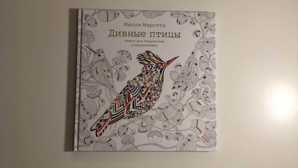 Милли Маротта дивные птицы Раскрашенная