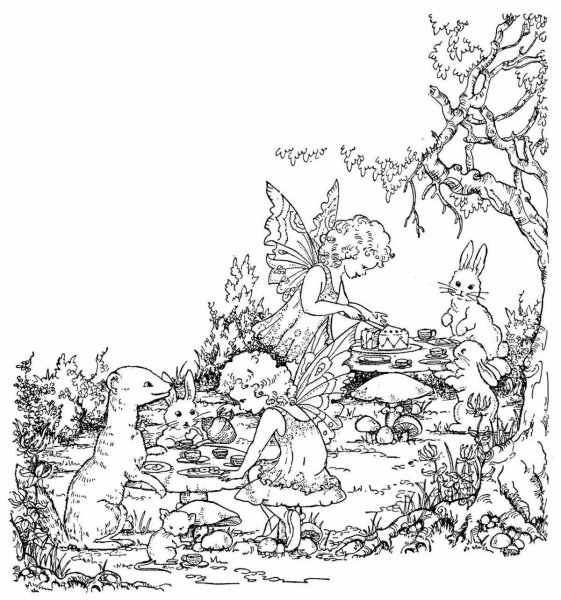 Раскраска Фея леса