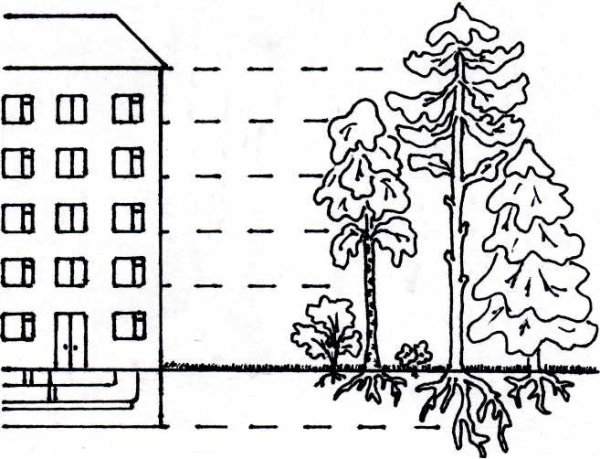 Лес многоэтажный дом для дошкольников