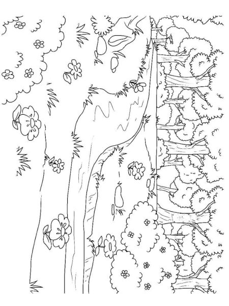 В лесу. Раскраска