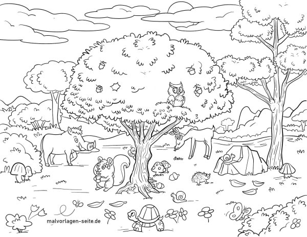 Лесная Полянка раскраска