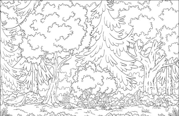 Фон природа для раскрашивания