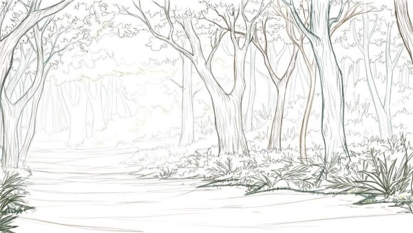 Лес карандашом