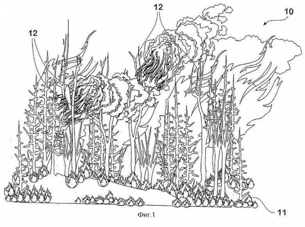 Пожар в лесу раскраска