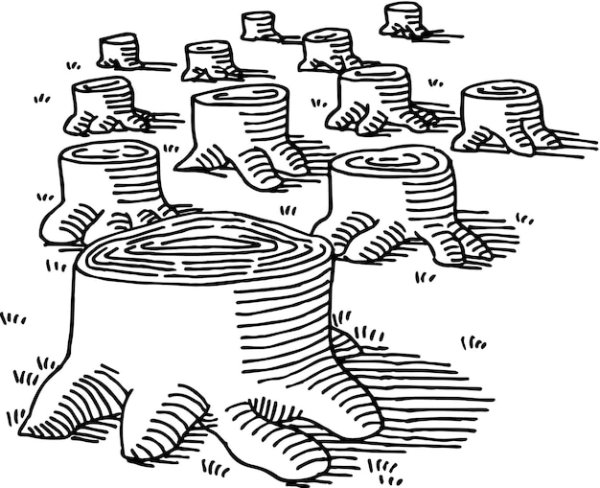 Вырубка леса раскраска для детей