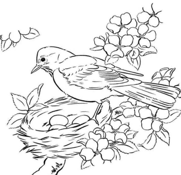 Бианки Лесные домишки раскраска