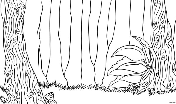 Раскраска природа джунгли