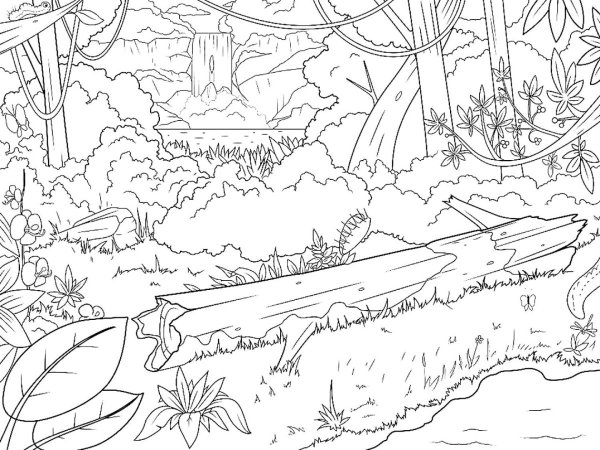 Водопад в джунглях раскраска