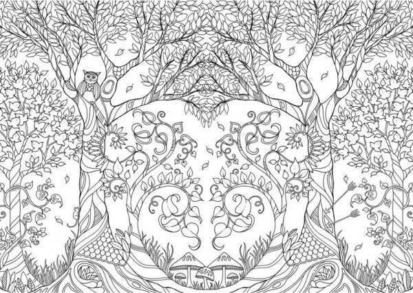 Раскраска Джоанна Басфорд Зачарованный лес