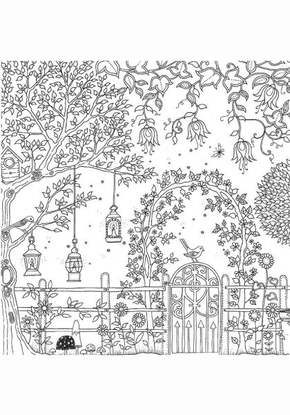 Раскраски антистресс Джоанна Басфорд