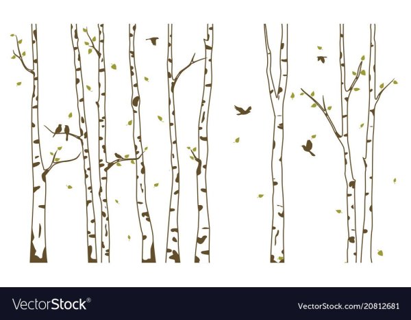 Ствол берёзы и ветка контур