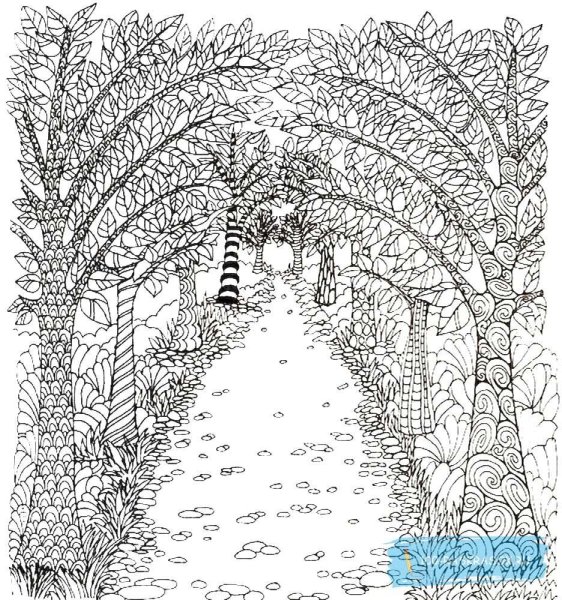 Раскраски сложные лес