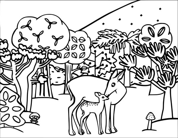 Раскраски природа и животные