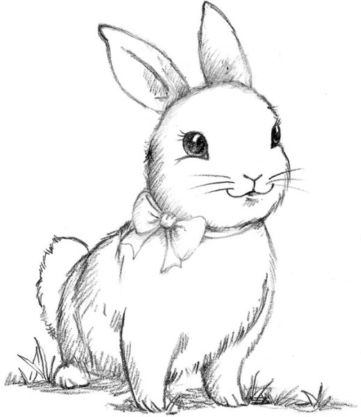 Дейзи Медоус крольчонок Люси или Волшебная встреча