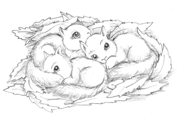 Дейзи Медоус лес дружбы Бельчонок Софи